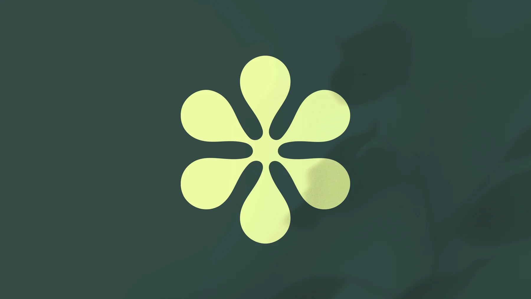 Phyto-Med — Un positionnement de marque tout naturel